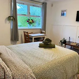 Apartment Bright And Comfortable Studio, London